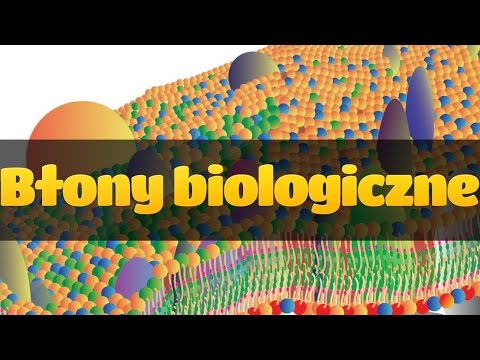 Bije pompowania żelaza Jak rozgrzać mięśnie przed wyścigiem