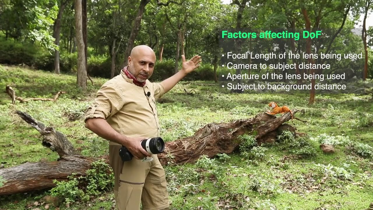 wildlife photography factors affecting depth of field by sudhir shivaram