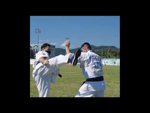 O KARATE PARA SUA