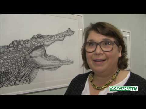 2017-04-06 FIRENZE - AL MUSEO _LA SPECOLA_ ANIMALI RITRATTI SU CARTA