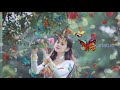 Whatsapp Status Video 2019 Hum Unse Mohabbat Karke Din Raat Sanam Rote Hai