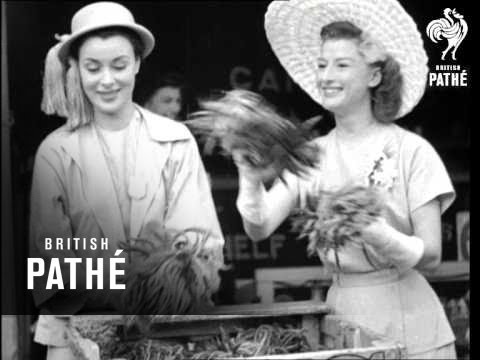 Selected Originals - Film Garden Party Aka Stars Step Out - Fun Steps In! (1950)