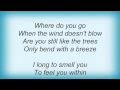 Beth Orton - Where Do You Go Lyrics