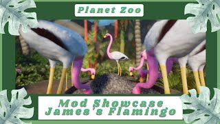 James's Flamingo Showcase