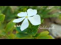Baa Nodu Gelathi Kannada Whatsup Status