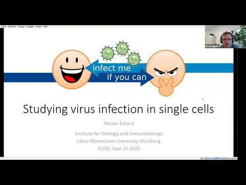 Temporal Single Cell Analysis 2020 - Florian Erhard (University of Würzburg)