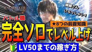 FF14 ソロレベル上げ！効率を上げる８の前提知識とLV帯別の稼ぎ方を徹底解説！