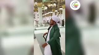 Download lagu cara jalan habib umar hafidz di madinah ketika menuju makam Rasullah SAW mp3