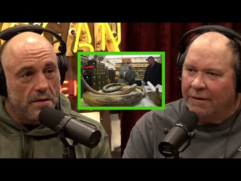 "Alaskan Boneyard" May Have Key Fossils to Ancient Mysteries