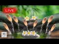 Spa Music 24 7 Stress Relief Music Relaxation Music Massage Music Sleep Music Waterfall