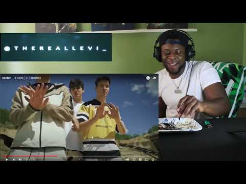 TRL Reaction / asster  - TEREN (polishrap)