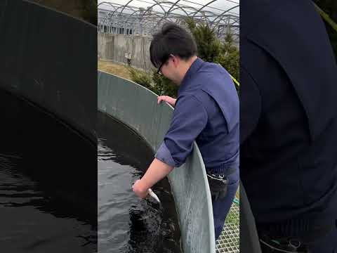 هرب يا معلم 😂🏃‍♂️💨 #الغلا #duet #humour