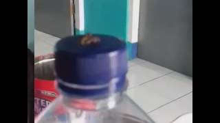 Download lagu Gila nich, smule sambil ml...😲😲 mp3