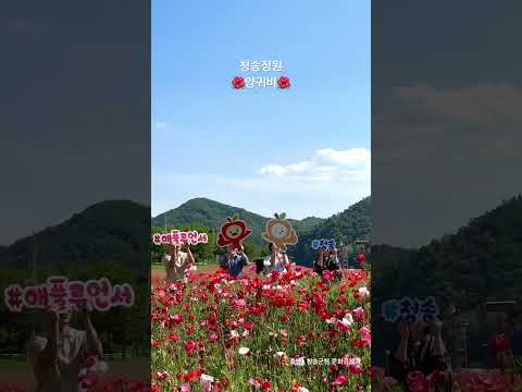 청송정원 