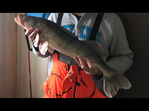 612outdoors.com : Lake Of The Woods 1/6/2018