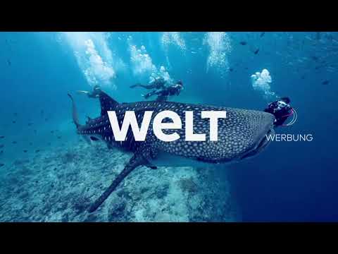 WELT Werbetrenner – Bartenwal (seit Mai 2021)