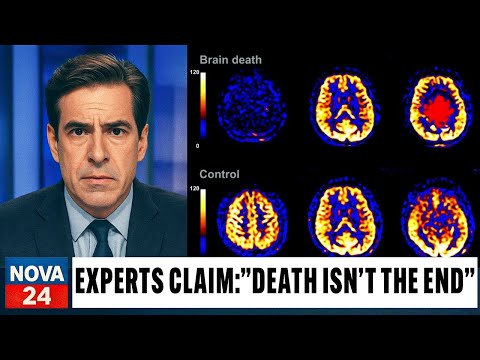 Quantum Physics Just CALCULATED Death Is Only an Illusion… And the World Is Speechless!