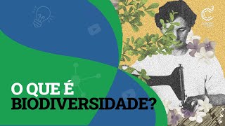 O que é biodiversidade?