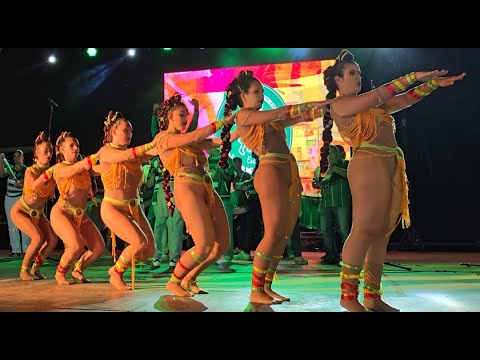 Vai Quem Quer - Viradouro 2024 @Cidade do Samba FS Mealhada 2025