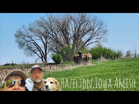 Hazleton Iowa Amish Stores