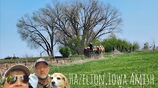 Hazelton  Amish Hazelton, Iowa