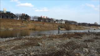 preview picture of video 'Barbel fly fishing in korea (20140227)'