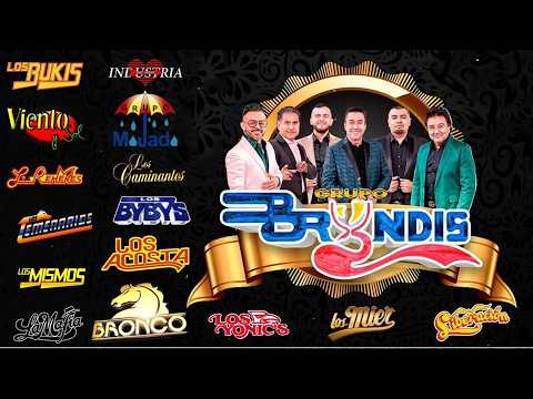 Los Temerarios, Viento Y Sol, Bryndis, Samuray, Los Bukis y Más 🔥 Mix Románticas Gruperas 80s y 90s