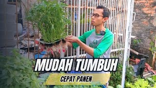 https://www.youtube.com/watch?v=DnrDhQj09cg