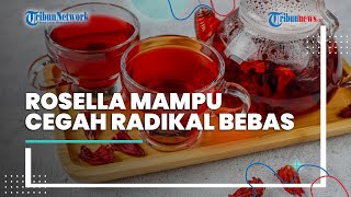 Bunga Rosella Mengandung Senyawa Bioaktif yang Dapat Cegah Radikal Bebas
