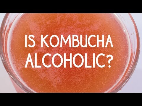 download lagu mp3 mp4 Does Kombucha Have Alcohol, download lagu Does Kombucha Have Alcohol gratis, unduh video klip Does Kombucha Have Alcohol