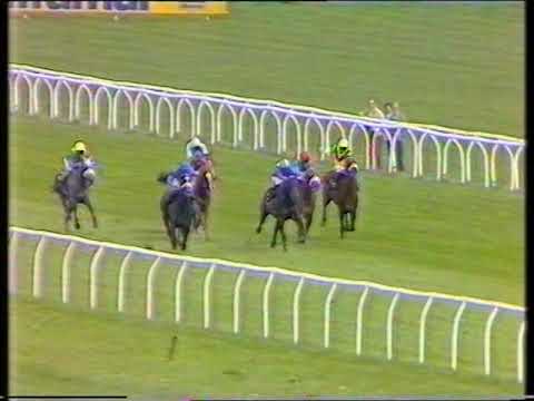 1990 Hue-Williams Stakes
