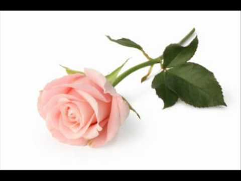 dj crew ona vsyo pojmyot