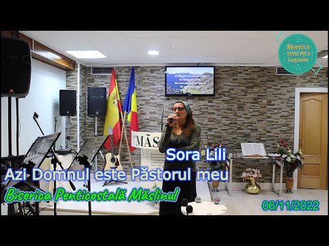 Azi Domnul este Păstorul meu