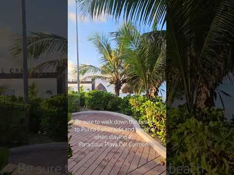 Videos del Paradisus Playa Del Carmen  Riviera Maya 5★ en Playa del Carmen, MéxicoVer MásVerPrecios19CerrarConsulta por Whatsapp 🇦🇷BookingTripadvisorExpediaAgodaTravelocityOrbitzPricelineTripSkyscannerDespegarKayakHotelesBestdayDestiniaTrivagoAlmundoLastminuteHotwireTui