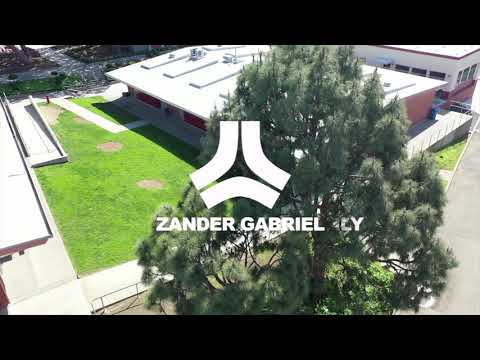 Zander Gabriel Welcome  to Destructo