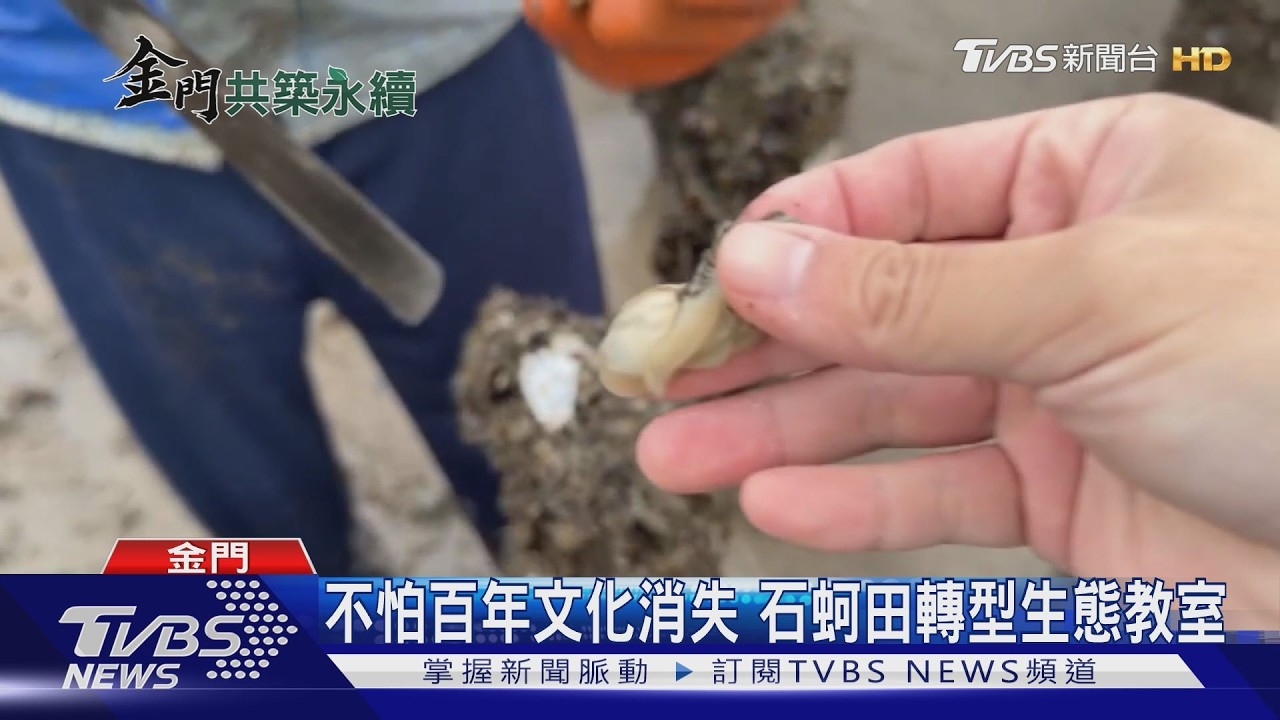 金門石蚵沒落危機 永續轉型延續百年產業