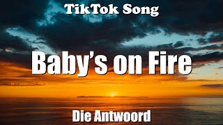 Baby’s on Fire - Die Antwoord (Lyrics) - TikTok Song