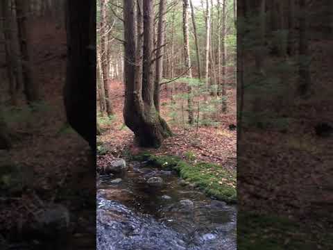 ROYALSTON, MA - BROOK FRONTAGE - LOTS 5 & 6