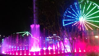 Paula Deens christmas tree lighting at the Island in Pigeon Forge