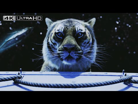 Life Of Pi 4K HDR | What Do You See
