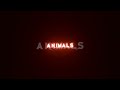 Animals Maroon 5 English Songs Lyrics Status Black Screen Status Captain Bhavik