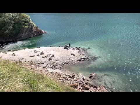 W. Kaiser: Ritom - Piora - Capanna Cadagno - Upper Leventina - Ticino - CH