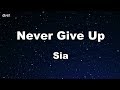 Never Give Up - Sia Karaoke 【No Guide Melody】 Instrumental