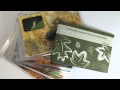 Freshwater Aquatic Macroinvertebrate: Insect Life Cycle and Habitat Flashcards with Manual