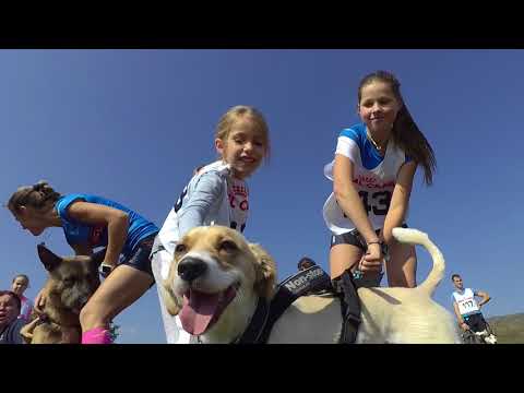 ROYAL CANIN CUP, DOĽANY 2017