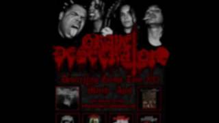 Grave Desecrator - Desecrating Europe Tour 2012 (Promo)