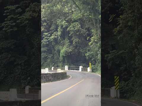 Serra da Graciosa Pr #shortsviral #serradagraciosa #morretes #viagem #paraná #estrada #serra #taxi