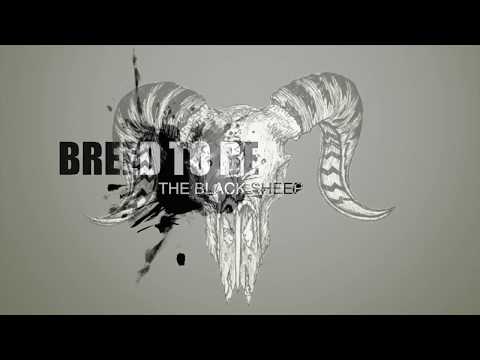 The Black Sheep Dave Turner - Sizzle Reel