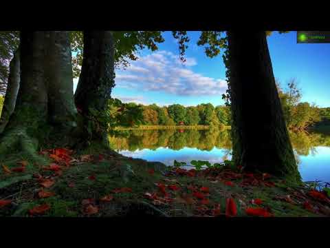 Kim Kiona - Airborn feat. Kim Kiona - Embrace Eternity (Original Mix)_Remastered