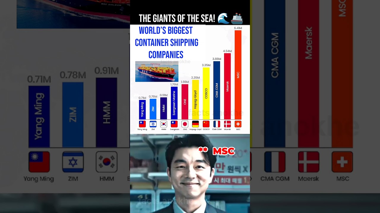 World's Biggest Shipping Companies 🌍🚢🌊 #ocean #sea #ship